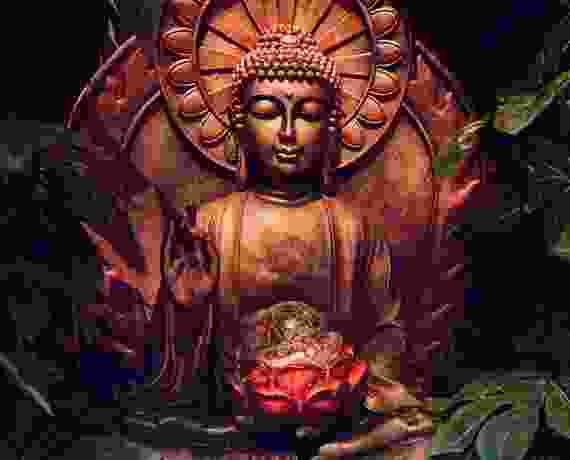 Yoga – The Journey into the God